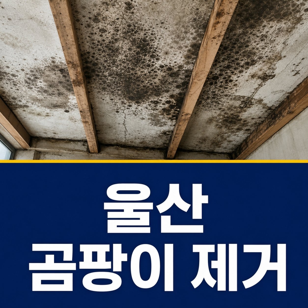 울산곰팡이제거 재유인더스트리 1