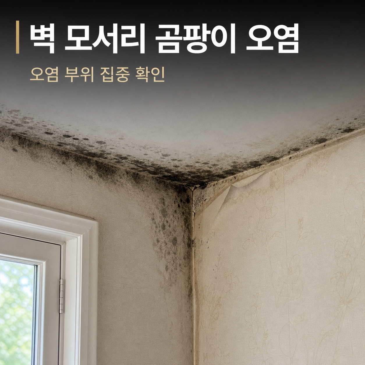 울산곰팡이제거 재유인더스트리 2