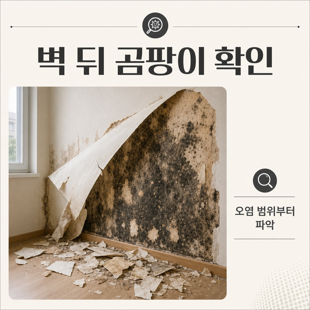 양산곰팡이 재유인더스트리 2