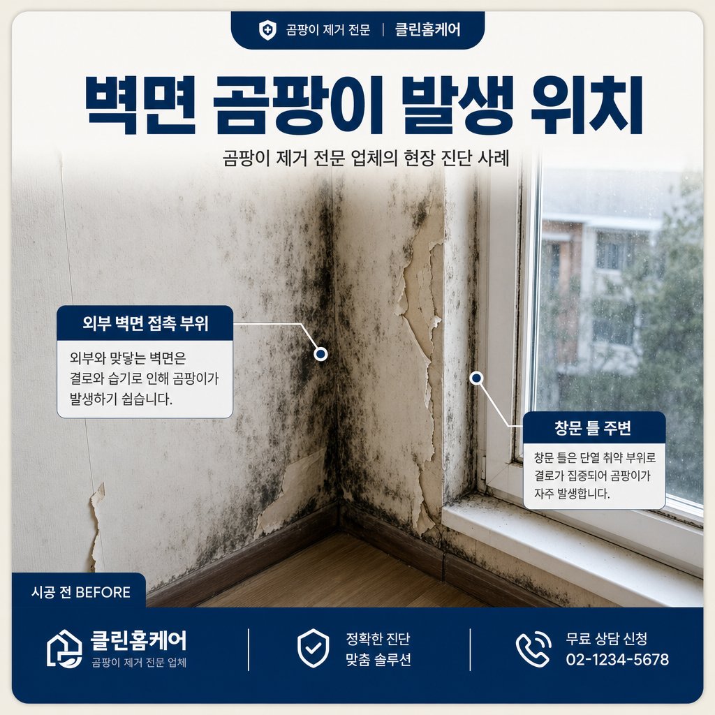 울산곰팡이업체 재유인더스트리 2