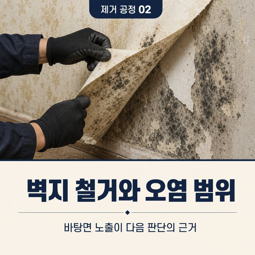 부산곰팡이 재유인더스트리 4