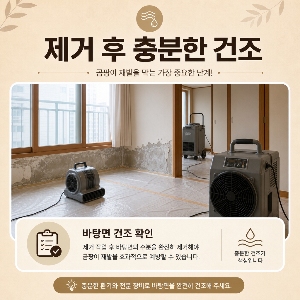 양산곰팡이 재유인더스트리 5