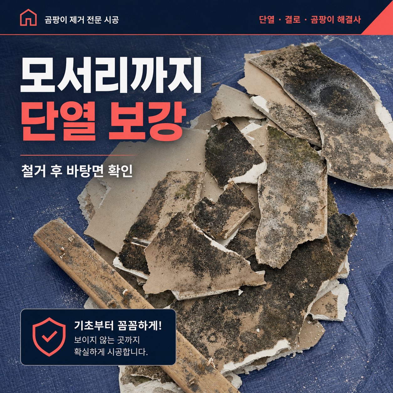 김해곰팡이제거 재유인더스트리 6