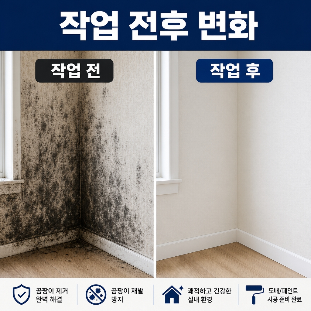 부산곰팡이업체 재유인더스트리 8