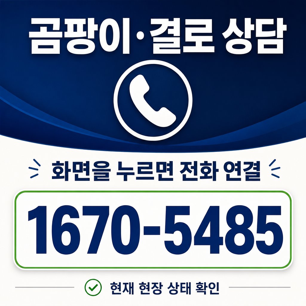 부산곰팡이 재유인더스트리 10