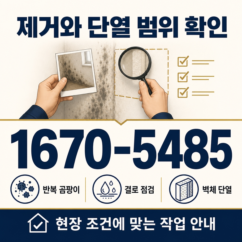 통영곰팡이제거 재유인더스트리 11
