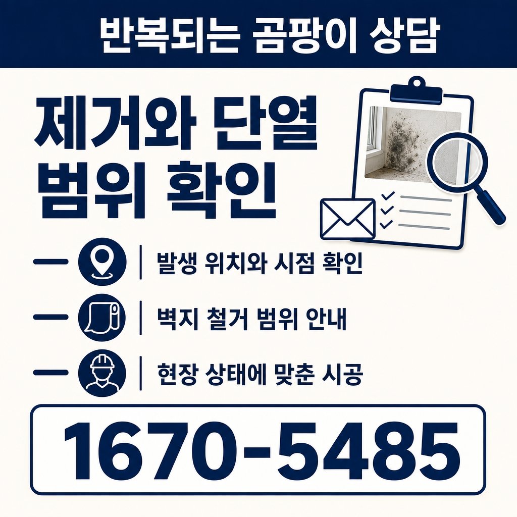 부산곰팡이 재유인더스트리 11