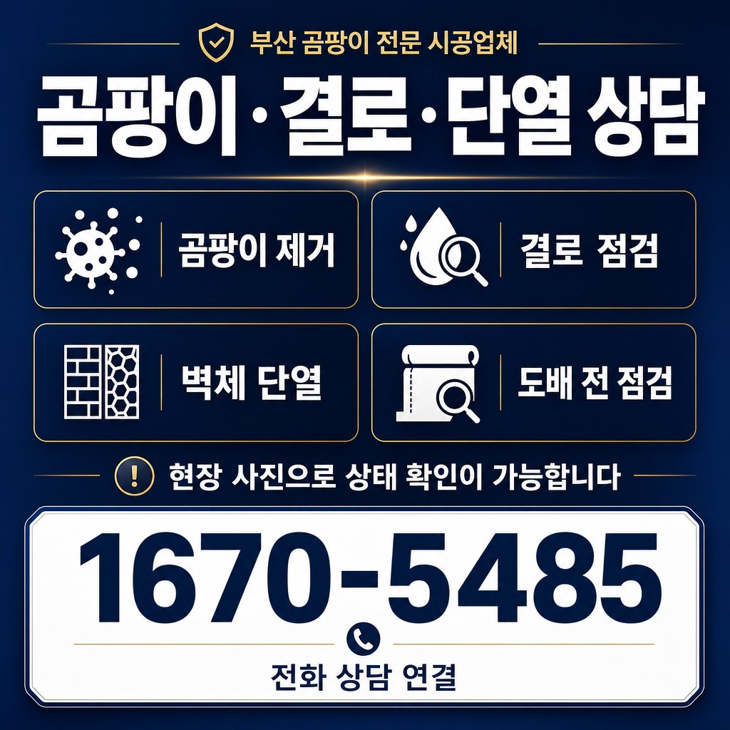 부산곰팡이 재유인더스트리 12