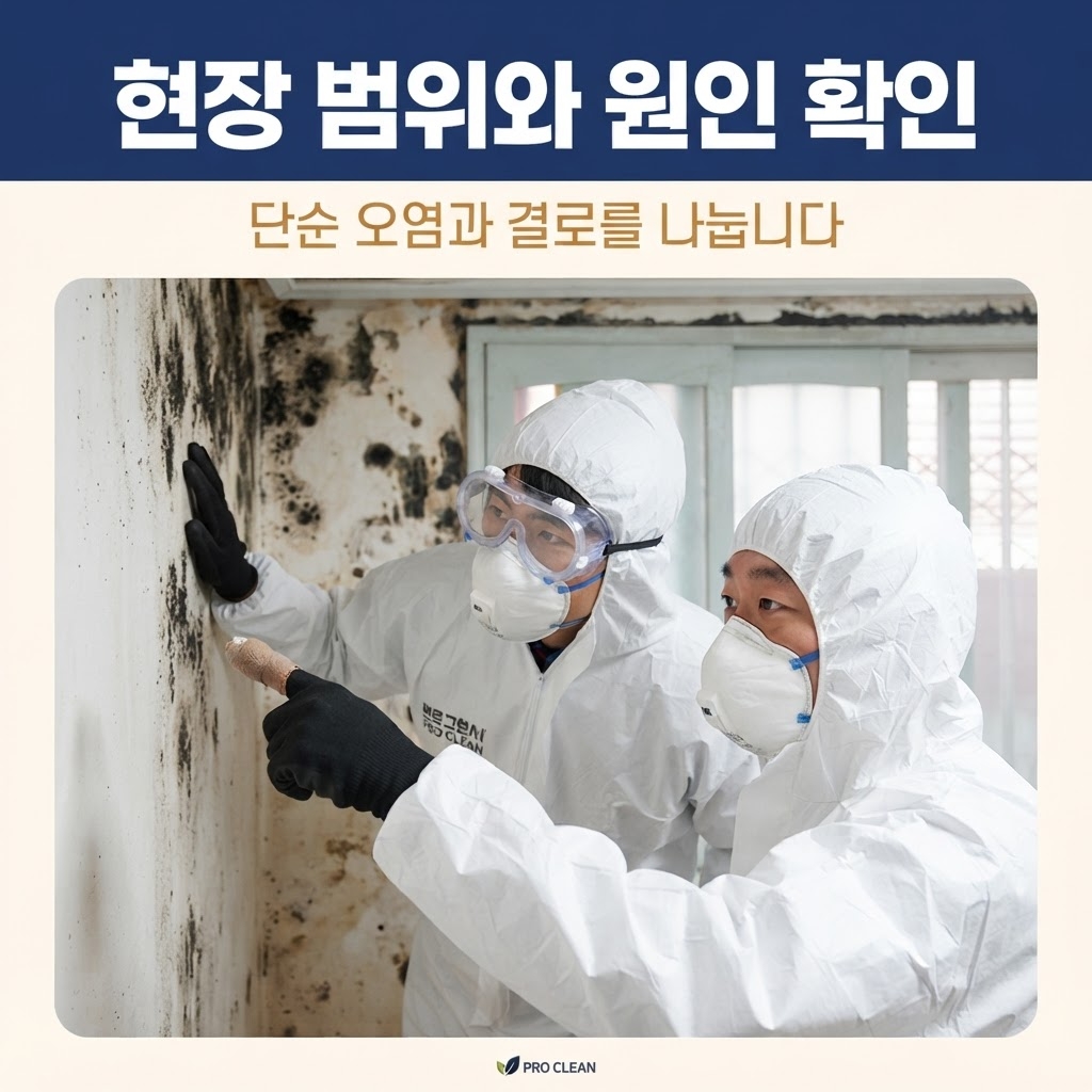 통영곰팡이제거업체 재유인더스트리 3