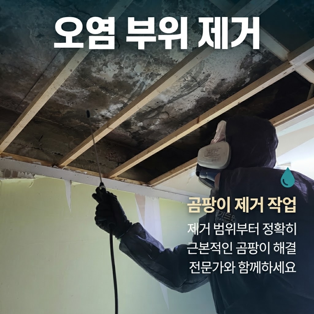 울산곰팡이제거업체 재유인더스트리 7