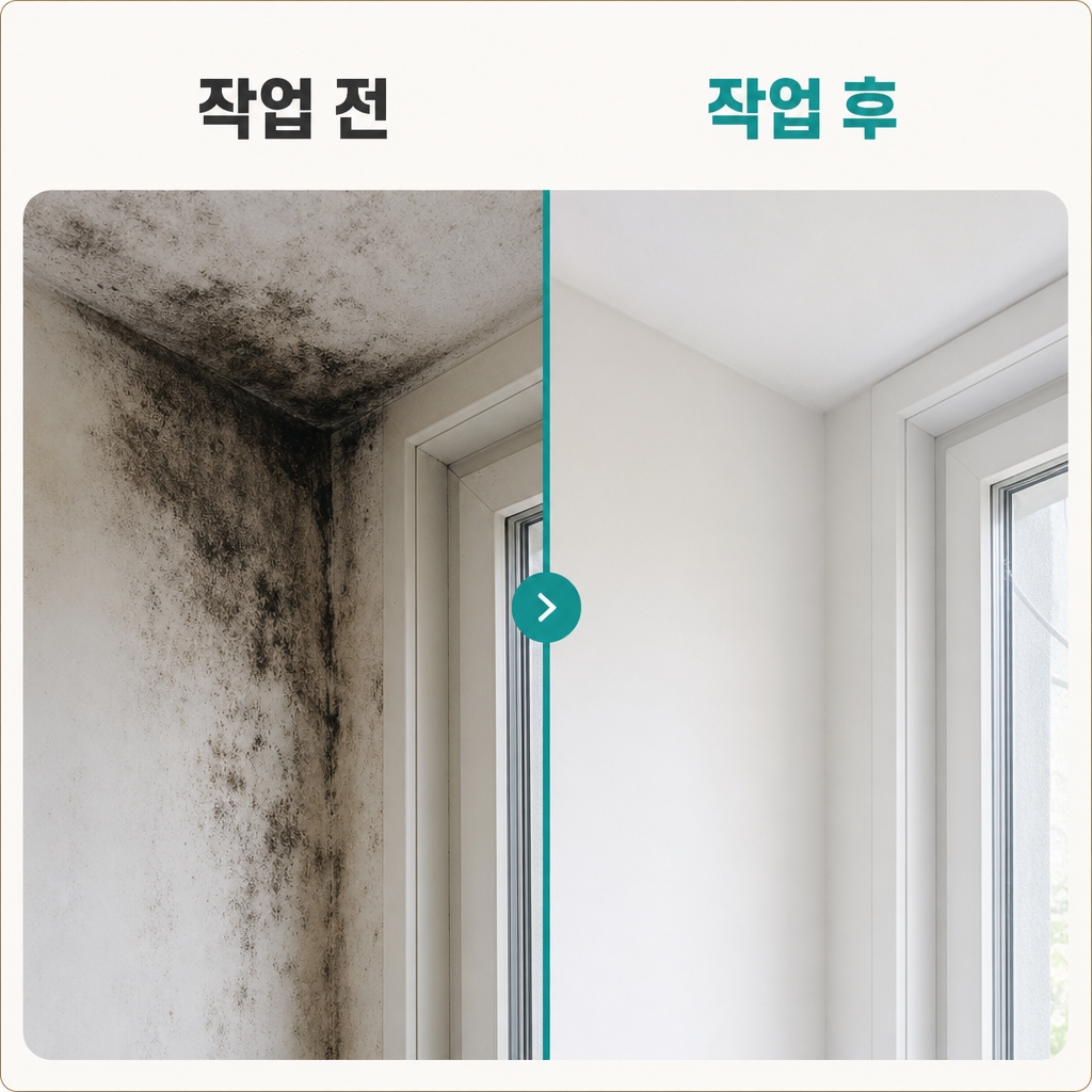 거제곰팡이업체 재유인더스트리 8