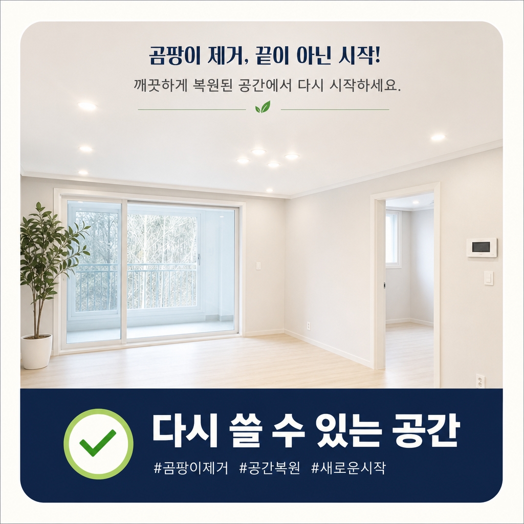 거제곰팡이업체 재유인더스트리 9
